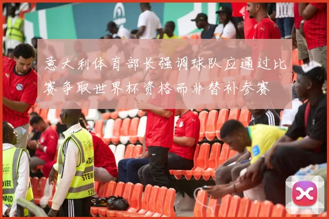 意大利体育部长强调球队应通过比赛争取世界杯资格而非替补参赛